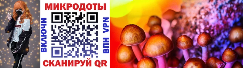 Галлюциногенные грибы Psilocybine cubensis Томск